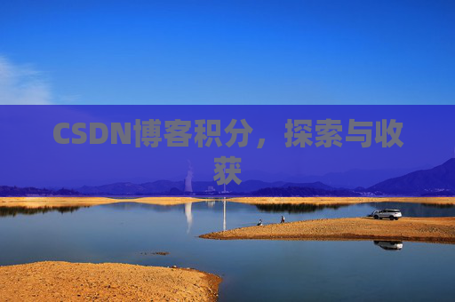 CSDN博客积分,探索与收获